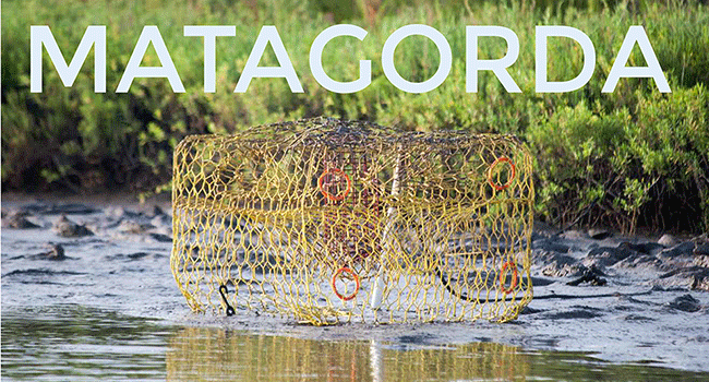 Matagorda Title Page